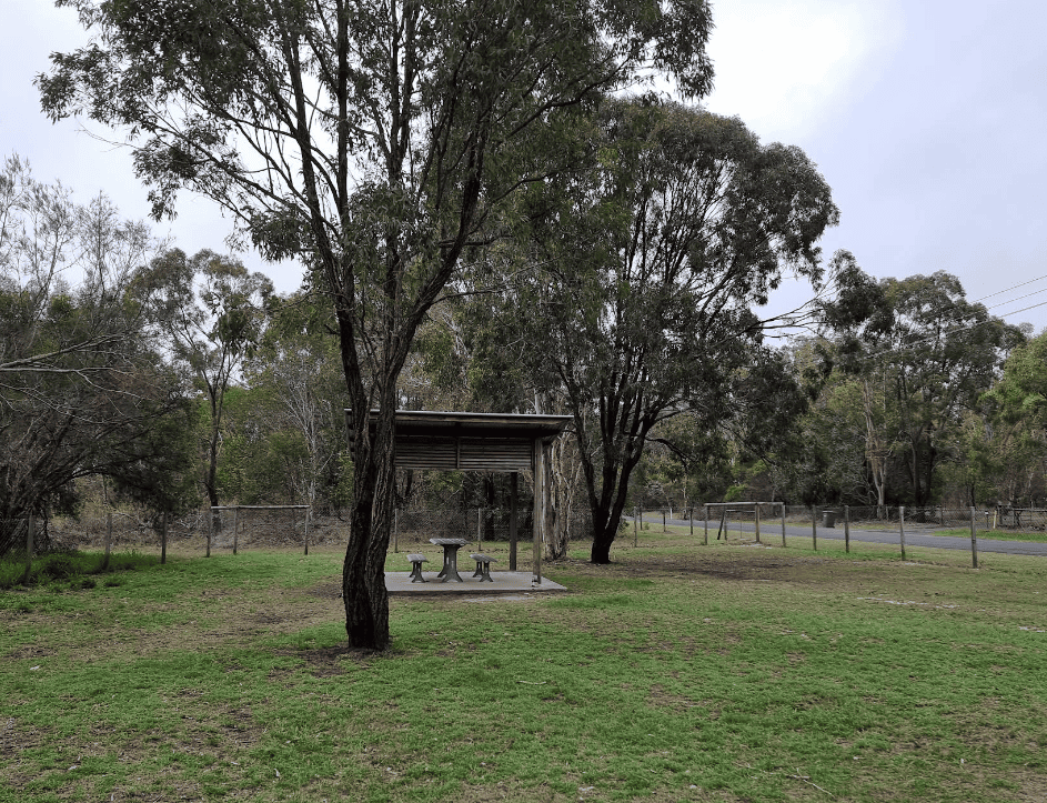 Public dog park