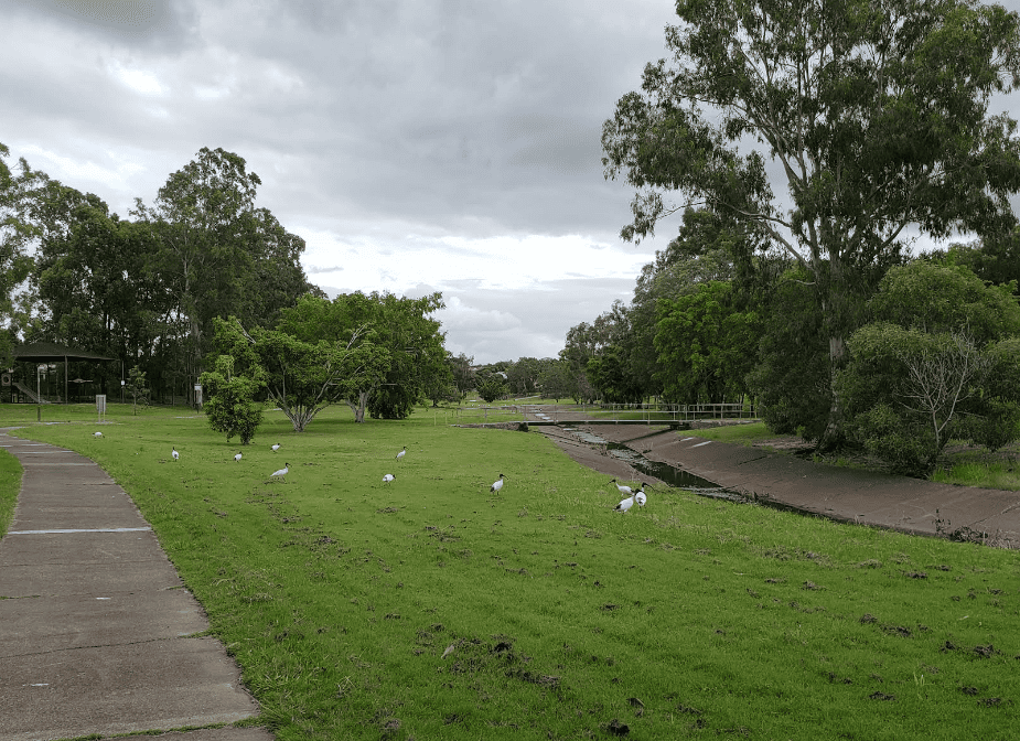 The Durack Common